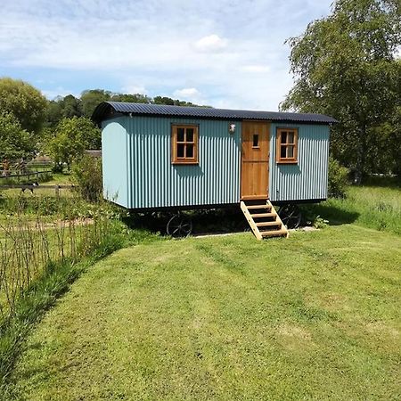Gaggle Of Geese Pub - Shepherd Huts & Bell Tents Dorchester Exterior photo